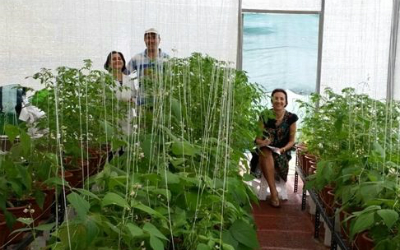 Nanoparticulas fertilizantes